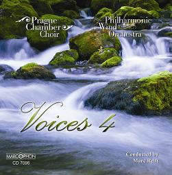 Voices #4 - clicca qui