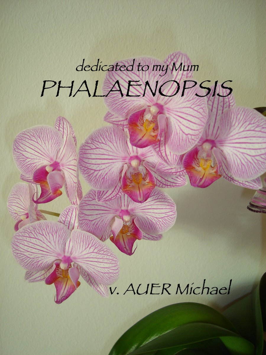 Phalaenopsis - cliccare qui