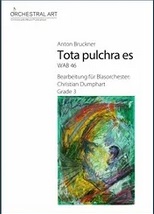 Tota pulchra es - cliccare qui Tota pulchra es - cliccare qui