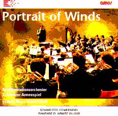 Portrait of Winds - clicca qui