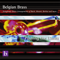 Pushing the Limits - cliccare qui