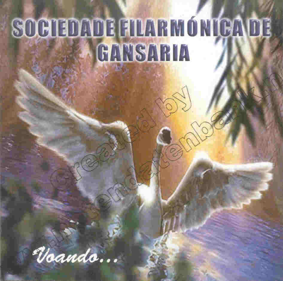 Voando - clicca qui