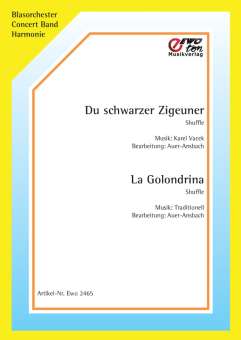 Du schwarzer Zigeuner (Cik�nka) - cliccare qui