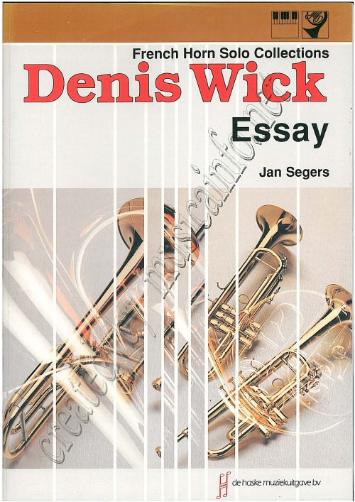 Essay - cliccare qui